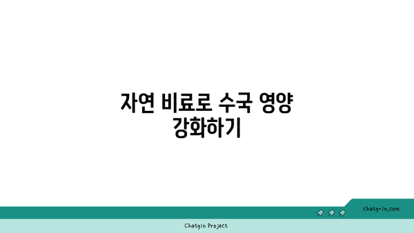 수국 개화 기간 연장하는 방법| 가을의 아름다움을 오래 유지하는 팁 | 수국, 원예, 꽃 관리