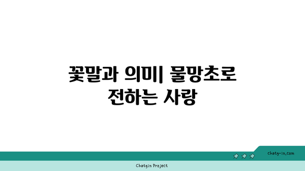 물망초의 매력과 의미| 아름다운 꽃의 세계를 탐험하다 | 물망초, 꽃, 식물 탐방