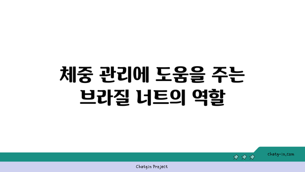 브라질 너트의 건강 효능과 섭취 방법 | 슈퍼푸드, 영양, 다이어트 팁