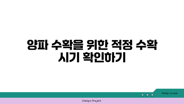 양파 수확의 모든 것| 성공적인 수확을 위한 10가지 팁 | 농업, 수확 기술, 양파 재배