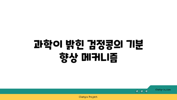 검정콩이 기분을 향상시키는 방법| 과학이 입증한 정신 건강 효과 | 검정콩, 기분 개선, 정신 건강 보조 식품