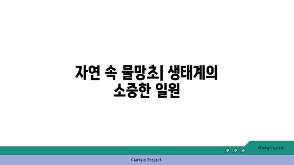 물망초의 매력과 의미| 아름다운 꽃의 세계를 탐험하다 | 물망초, 꽃, 식물 탐방