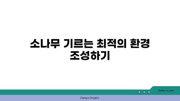 소나무의 다양한 종류와 관리 방법 가이드 | 소나무, 식물, 원예"