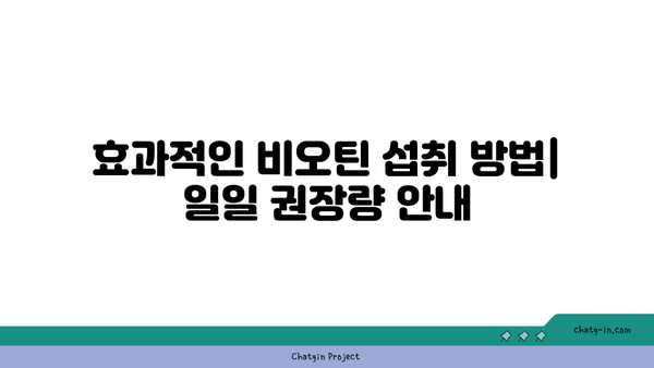 비오틴의 주요 기능과 효과적인 섭취 방법 | 비오틴, 건강보조식품, 모발 관리