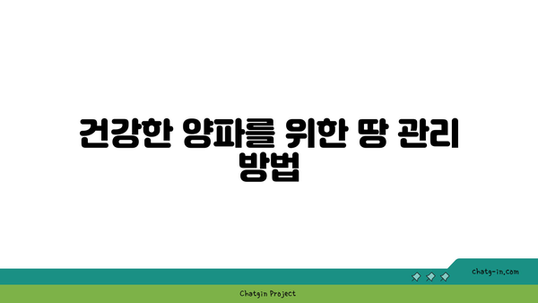 양파 수확의 모든 것| 성공적인 수확을 위한 10가지 팁 | 농업, 수확 기술, 양파 재배