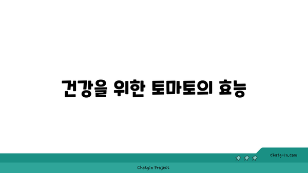 ‘토마토의 강력한 항산화력 탐구하기| 건강에 미치는 영향과 효과적인 활용법’ | 항산화, 건강식품, 영양소