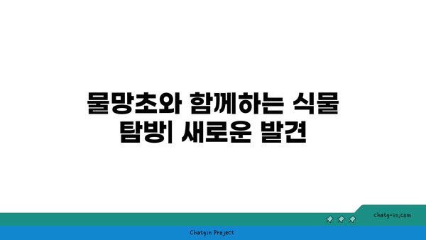 물망초의 매력과 의미| 아름다운 꽃의 세계를 탐험하다 | 물망초, 꽃, 식물 탐방