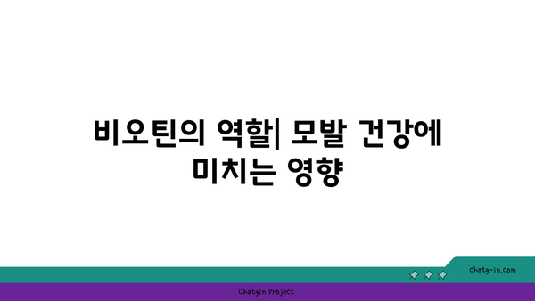 비오틴의 주요 기능과 효과적인 섭취 방법 | 비오틴, 건강보조식품, 모발 관리