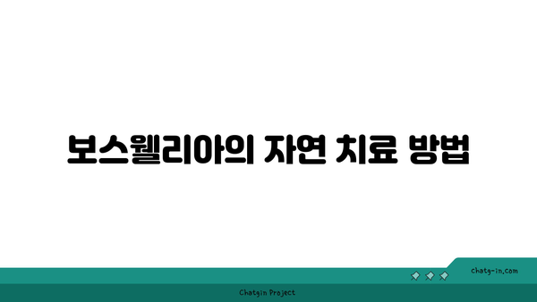 보스웰리아의 효능과 활용법| 관절 건강을 위한 최적의 선택! | 건강, 보충제, 자연 치료"