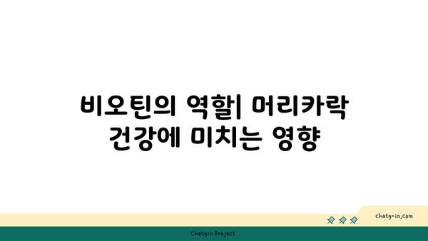 비오틴| 머리카락 건강을 위한 완벽 가이드 | 비오틴, 영양소, 탈모 예방, 머리카락 성장