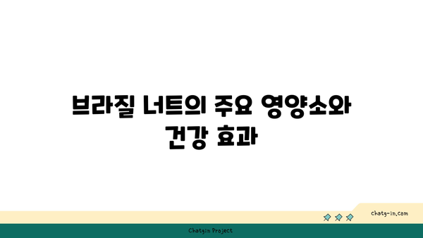 브라질 너트의 건강 효능과 섭취 방법 | 슈퍼푸드, 영양, 다이어트 팁