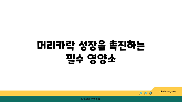 비오틴| 머리카락 건강을 위한 완벽 가이드 | 비오틴, 영양소, 탈모 예방, 머리카락 성장