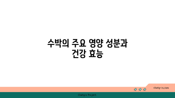 수박의 진정으로 놀라운 건강 효과| 수박의 7가지 주요 효능 및 올바른 섭취 방법" | 건강, 수박, 건강 효과, 영양정보