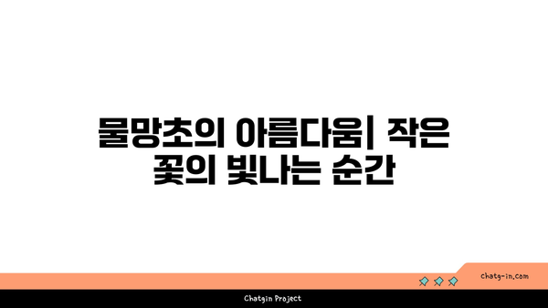 물망초의 매력과 의미| 아름다운 꽃의 세계를 탐험하다 | 물망초, 꽃, 식물 탐방