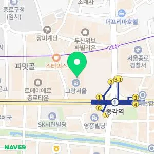 맥스웰피부과의원 종로점