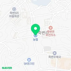 현대신경외과의원