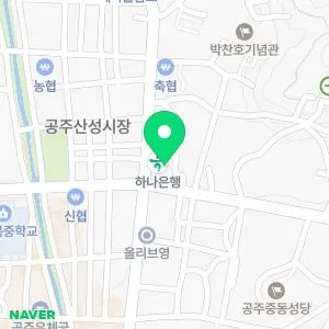 공주서울내과의원