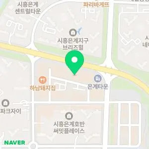 다시봄날의원 시흥