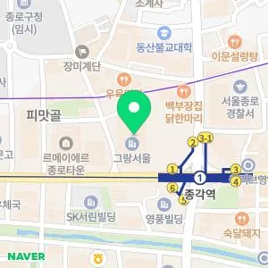 맥스웰피부과의원 종로점