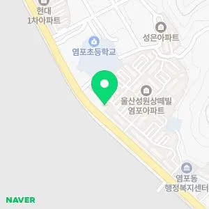 늘푸른한의원