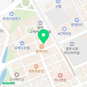 밴스의원 청주