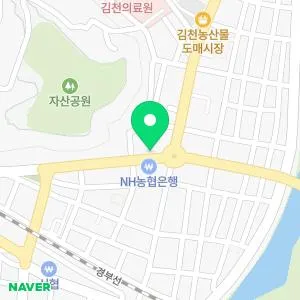 동산연합의원