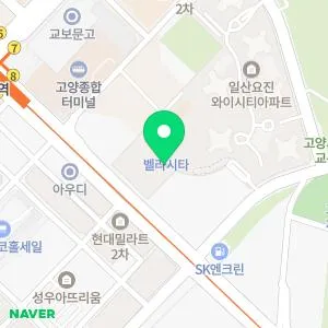 내안에봄의원 일산