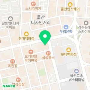 스노우의원 울산점