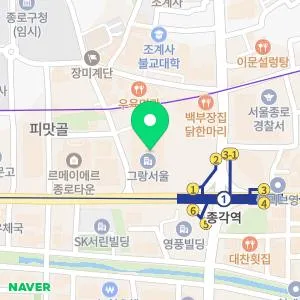 맥스웰피부과의원 종로점