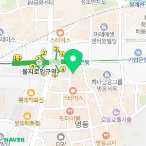 닥터디자이너의원 명동점