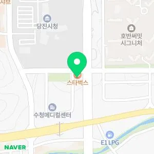 서울뷰의원 당진