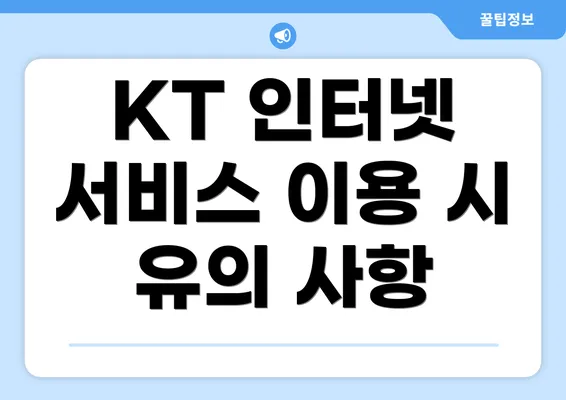 KT 인터넷 서비스 이용 시 유의 사항