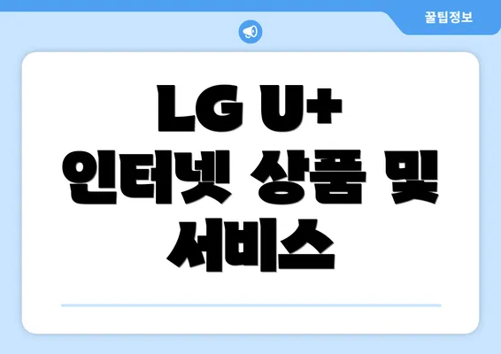 LG U+ 인터넷 상품 및 서비스