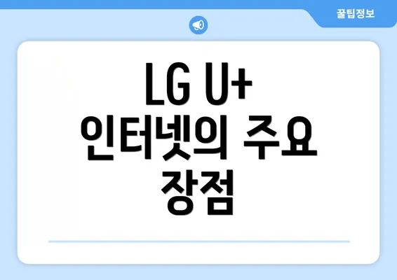 LG U+ 인터넷의 주요 장점