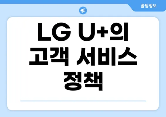 LG U+의 고객 서비스 정책