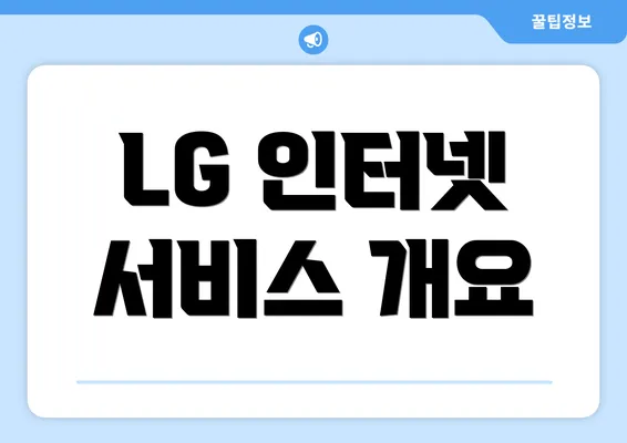 LG 인터넷 서비스 개요