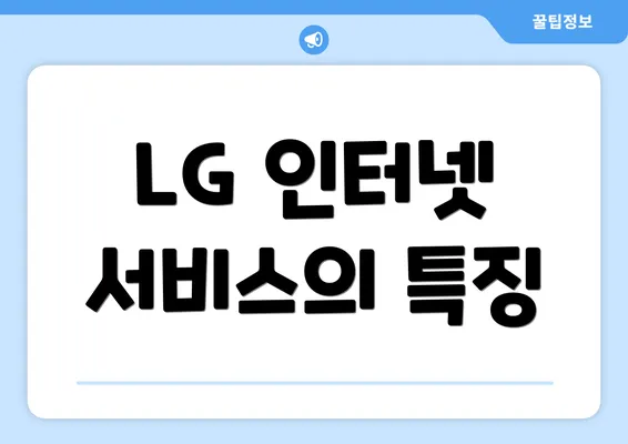 LG 인터넷 서비스의 특징