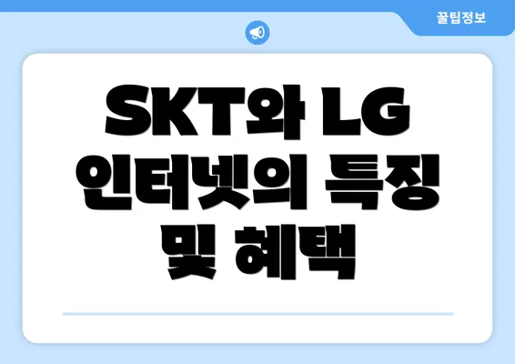 SKT와 LG 인터넷의 특징 및 혜택