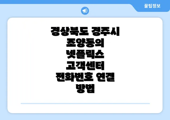 경상북도 경주시 조양동의 넷플릭스 고객센터 전화번호 연결 방법