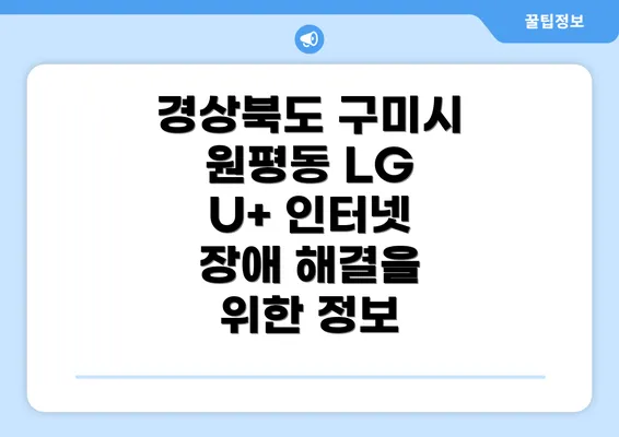 경상북도 구미시 원평동 LG U+ 인터넷 장애 해결을 위한 정보