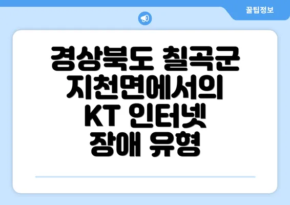 경상북도 칠곡군 지천면에서의 KT 인터넷 장애 유형