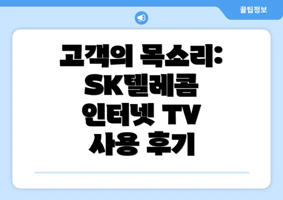 고객의 목소리: SK텔레콤 인터넷 TV 사용 후기