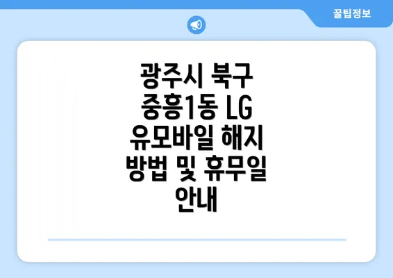 광주시 북구 중흥1동 LG 유모바일 해지 방법 및 휴무일 안내