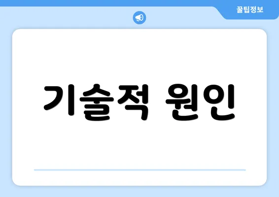 기술적 원인