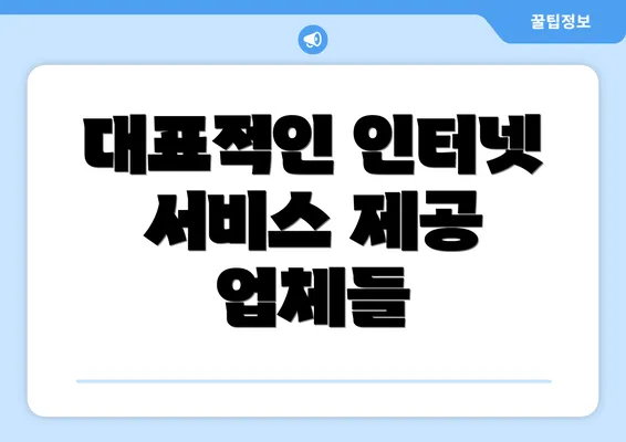 대표적인 인터넷 서비스 제공 업체들