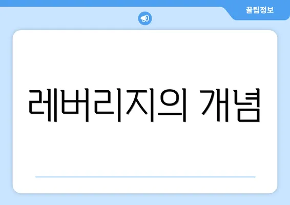 레버리지의 개념