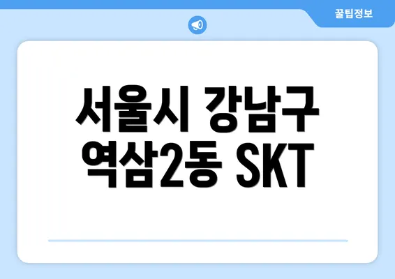 서울시 강남구 역삼2동 SKT