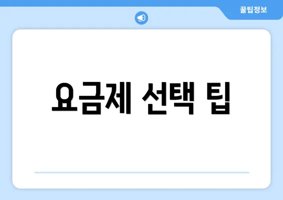 요금제 선택 팁