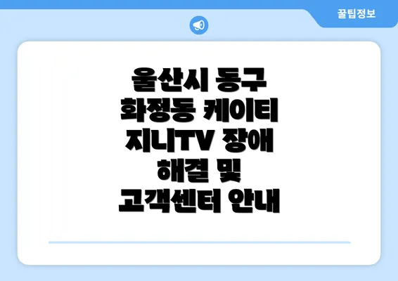 울산시 동구 화정동 케이티 지니TV 장애 해결 및 고객센터 안내