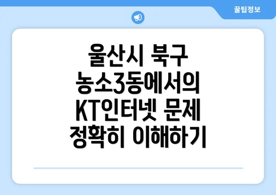 울산시 북구 농소3동에서의 KT인터넷 문제 정확히 이해하기